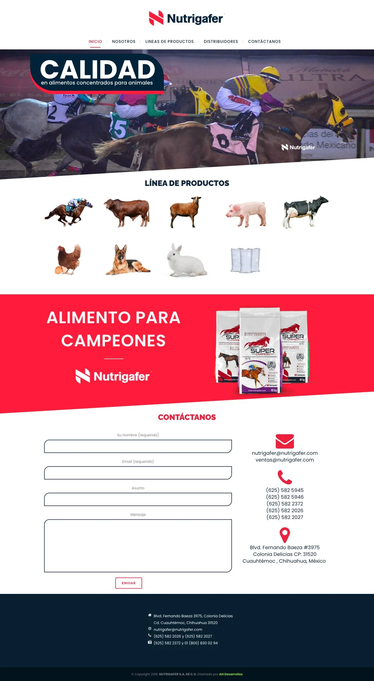 Website for Nutrigafer