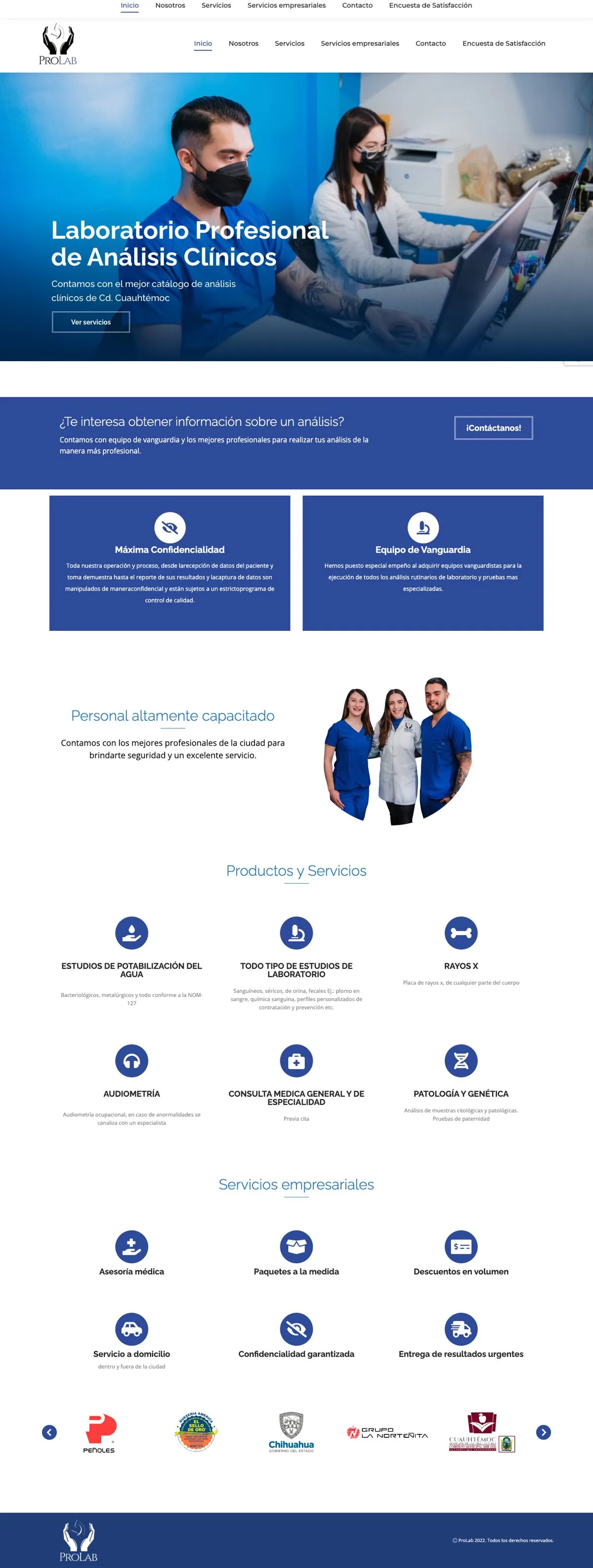 Website for Prolab