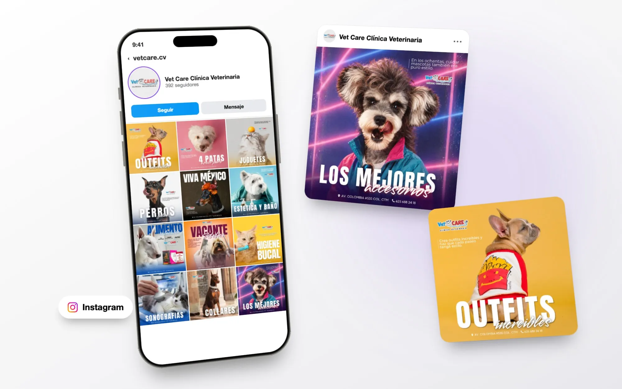 Social media design for Vet Care