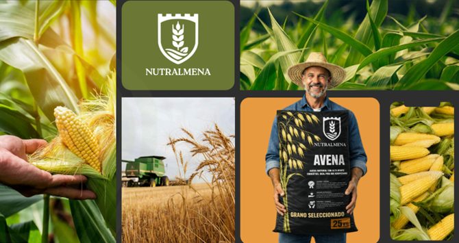 Moodboard de marca, papelería completa y publicidad exterior