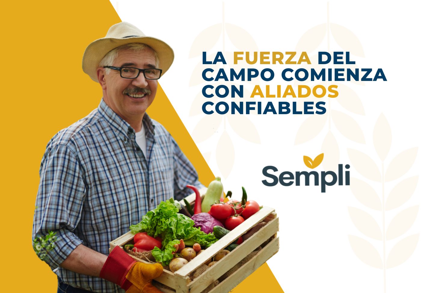 Piezas de campaña y redes sociales